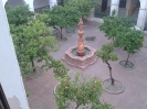 El Carmen_19