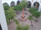 El Carmen_20