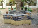 El Carmen_4